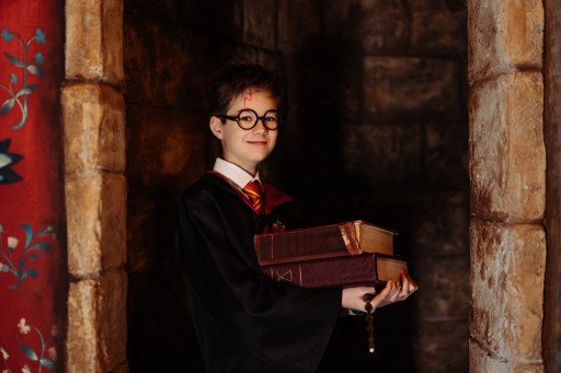 Harry Potter Series Journey